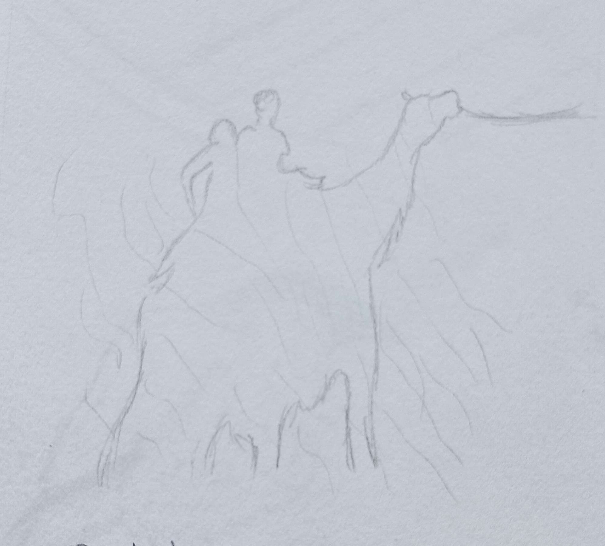Desert Camel Silhouette-Pencil