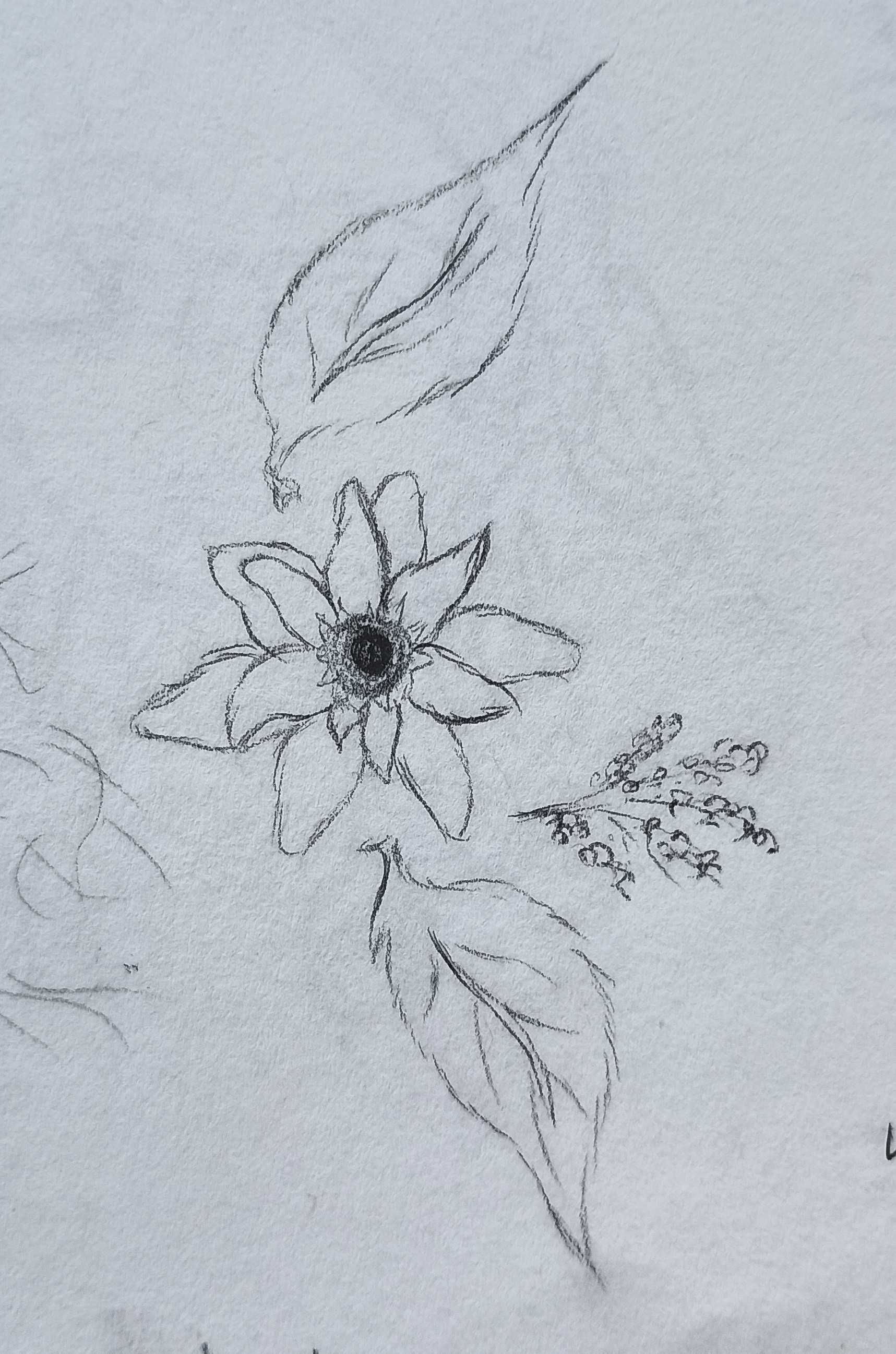Flower with Leaf Ornamentation-Pencil