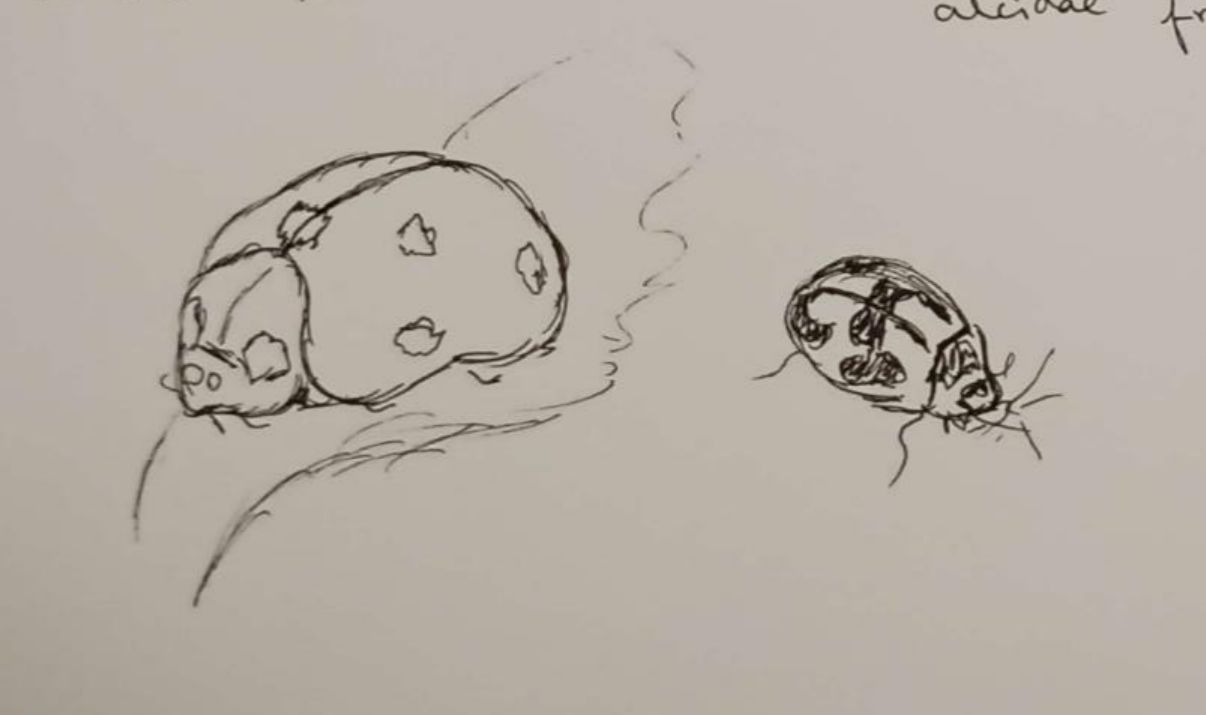 ladybugs-Pen