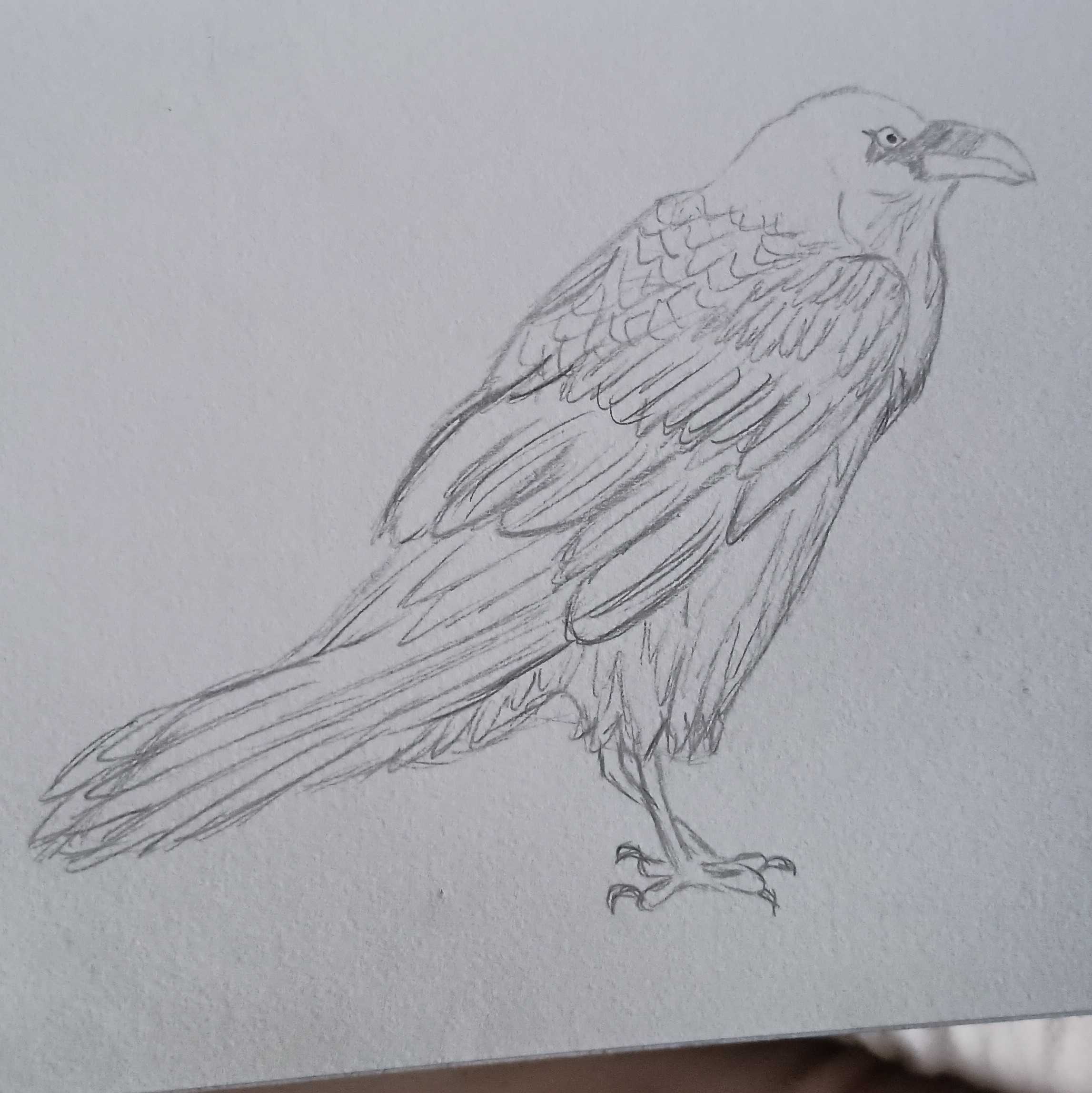 Raven-Pencil