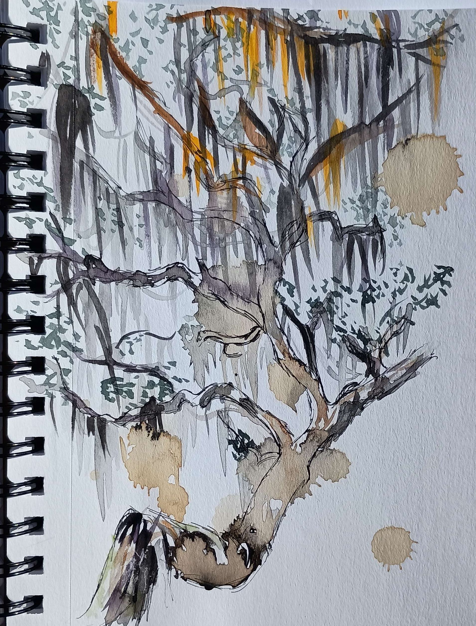 Spanish Moss-Watercolor